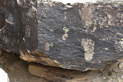 11 Petroglyphs 88004816.jpg