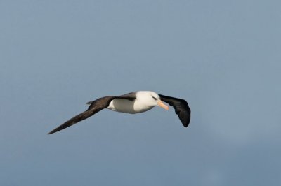 OGP20081101_0176.JPG