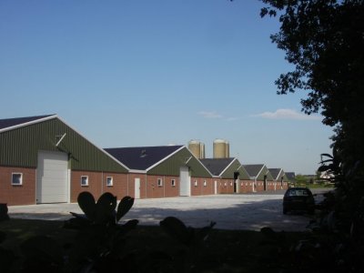 IMGP3291.JPG