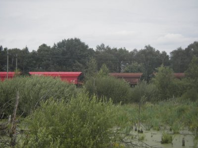 IMGP6126.JPG
