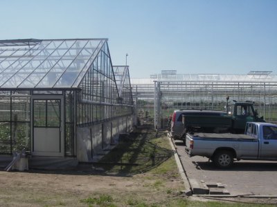 IMGP9472.JPG