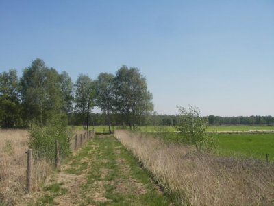 g3/11/394311/3/110660358.4D6tESPW.jpg