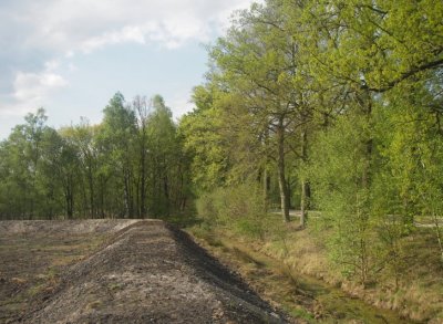 Horstereweitjes n 0794a.JPG