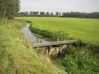 IMGP3299.JPG