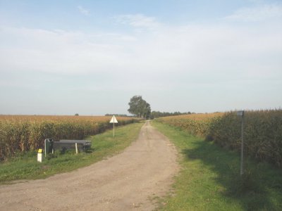 IMGP3312.JPG