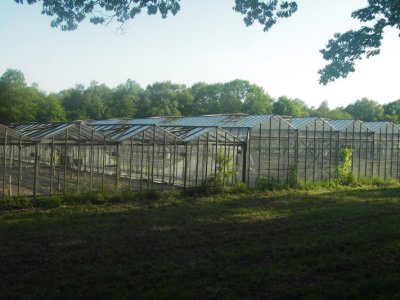 IMGP9721.JPG