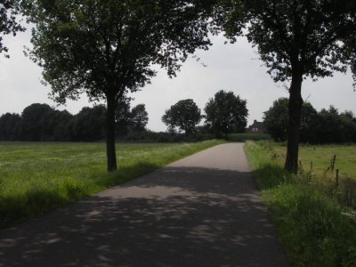 truffelperceel kruisstraat 2533.JPG