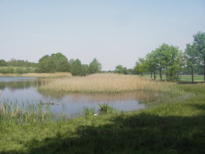 schoorkuilen 1363.JPG