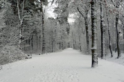 P1020189_bewerkt-1.JPG