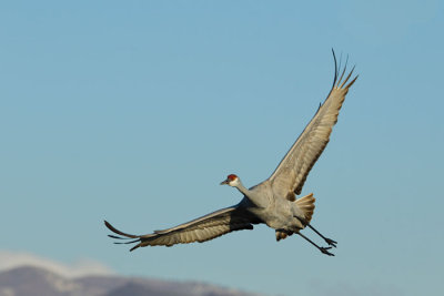 OGP_20100129_0257.jpg