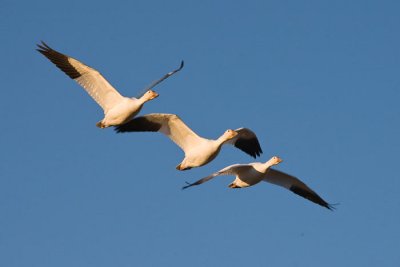OGP_20100129_0418.jpg