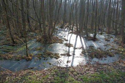 P1020344_bewerkt-1.JPG