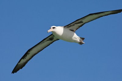 OGP_20100504_0942.jpg