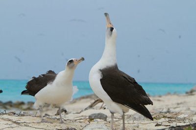 OGP_20100504_1285.jpg