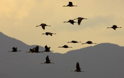g3/11/394311/3/57503969.KF3A4284crop.jpg
