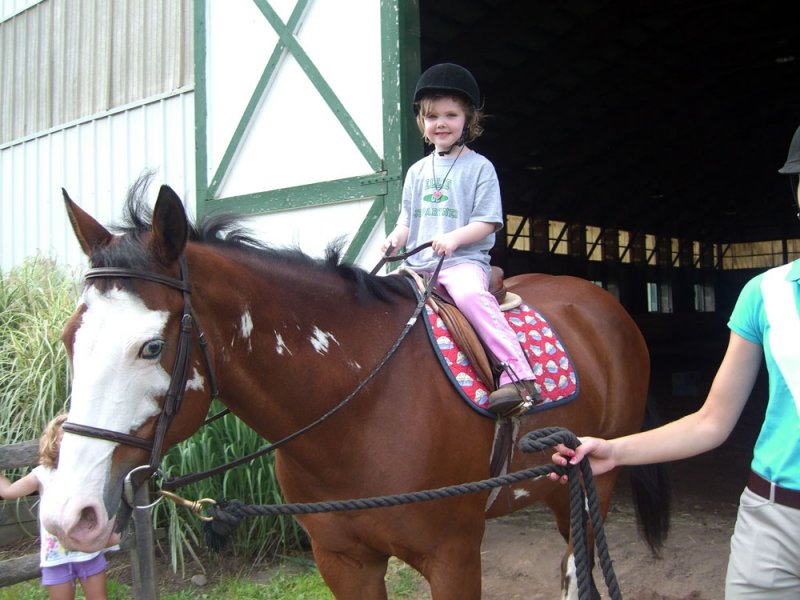 horse_smile.jpg