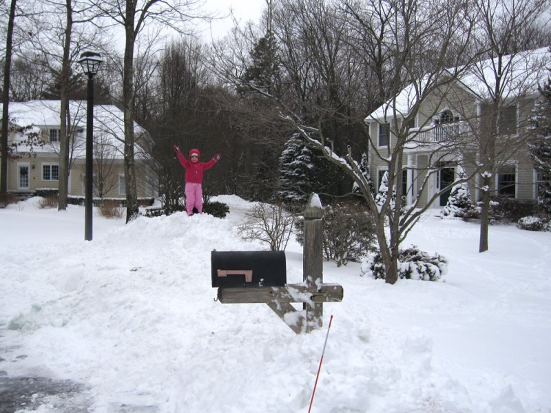 ellie_snowmt.jpg