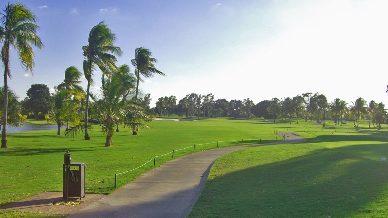 blue_par4_16th.jpg