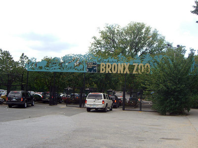 bronx_zoo.jpg