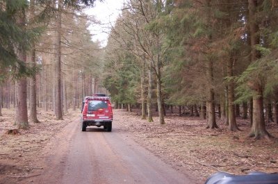 DSC_1379.JPG