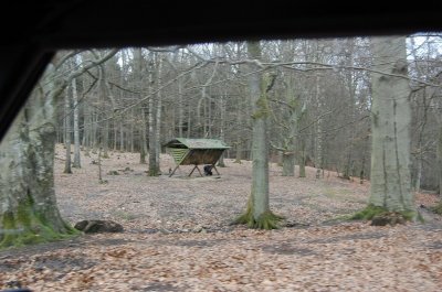 DSC_1383.JPG