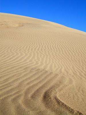 Dune patterns