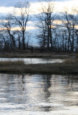 Rye Marsh Ripples