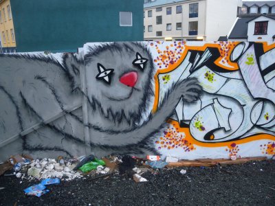 Reykjavik graffiti