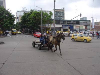 Bogota