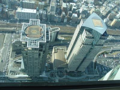 Yokohama view from Landmark Tower