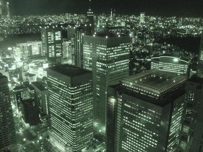 Tokyo government building view