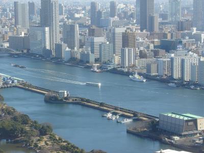 Tokyo world trade center building view