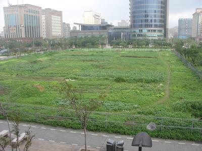 Taipei veggie patch