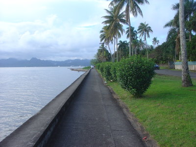 Suva