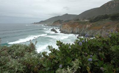 Ocean and Florals on Highway 1