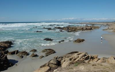 Beach on 17 Mile Drive