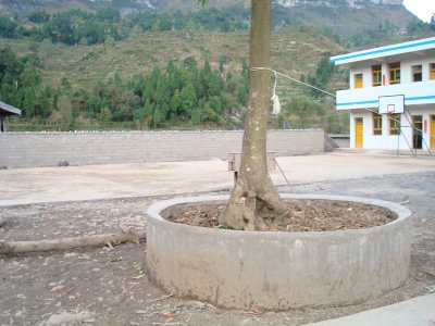 Basketball Court 1