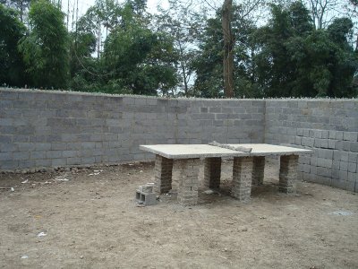 Ping Pong Table 2