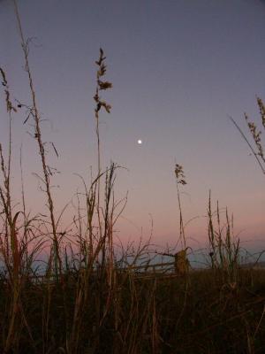 Sunset: Isle of Palms, South Carolina