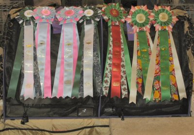 Cotton States Cat Show: The Final Tally