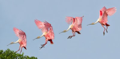 Landing Sequence