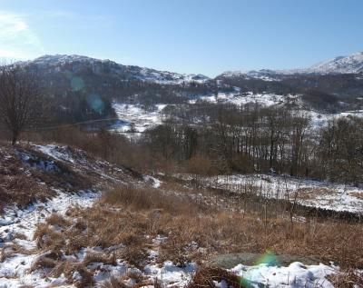 DSC_1142a.jpg