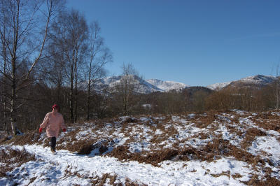 DSC_1145.jpg