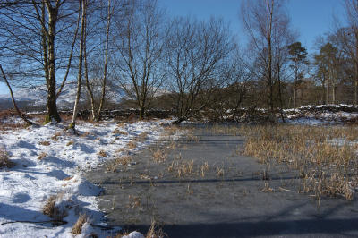 DSC_1147.jpg