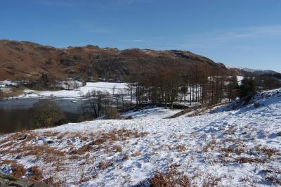 DSC_1153.jpg