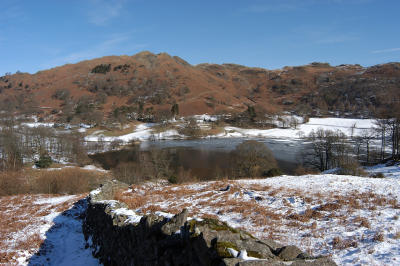DSC_1154.jpg
