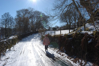 DSC_1156.jpg