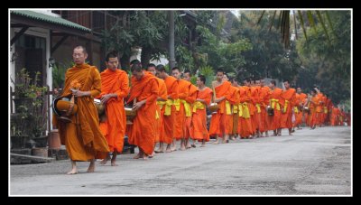 Monks collecting alms, Luang Prabang, Laos