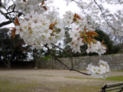 g3/11/573711/3/123848834.Dy0FQm5F.jpg