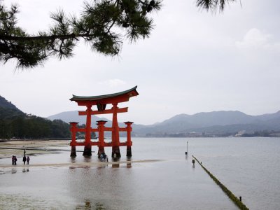 Floating Itsukushima Torii
